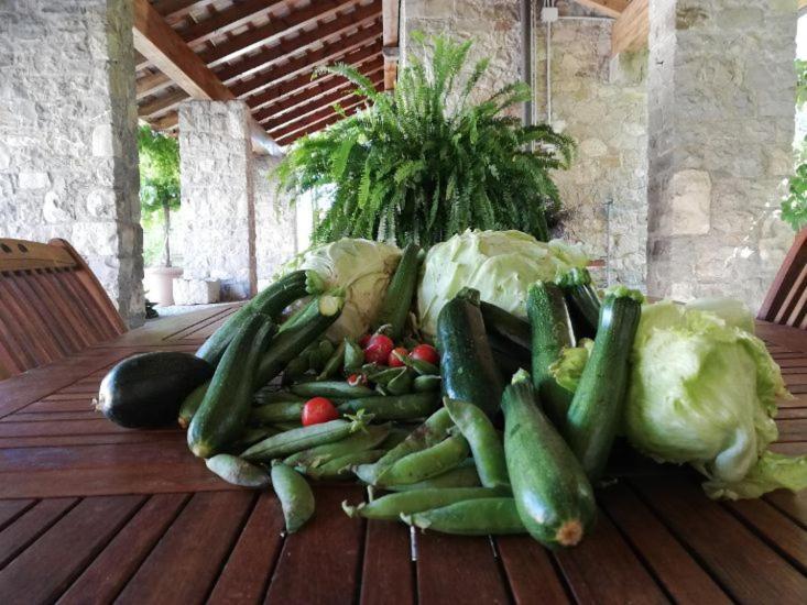 Ronc Dai Luchis Villa Faedis Dış mekan fotoğraf